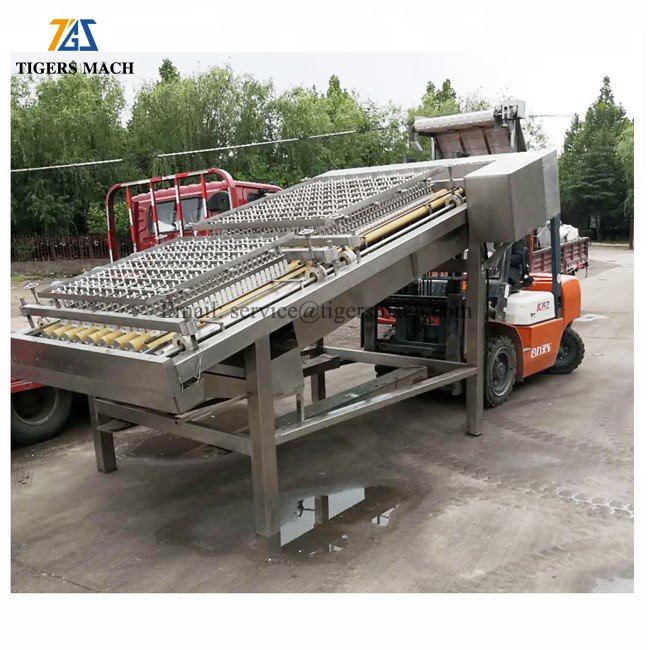 Shrimp peeling process machine