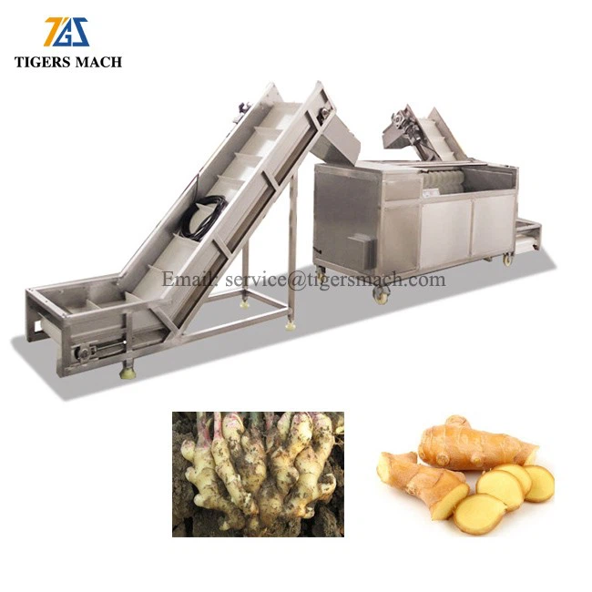 Ginger Peeling Machines