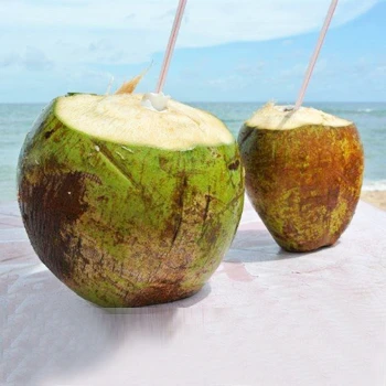 Come trovare un modo semplice per aprire una noce di cocco?