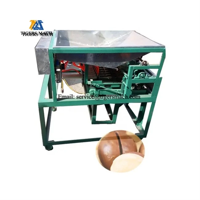 Macadamia opening machinery