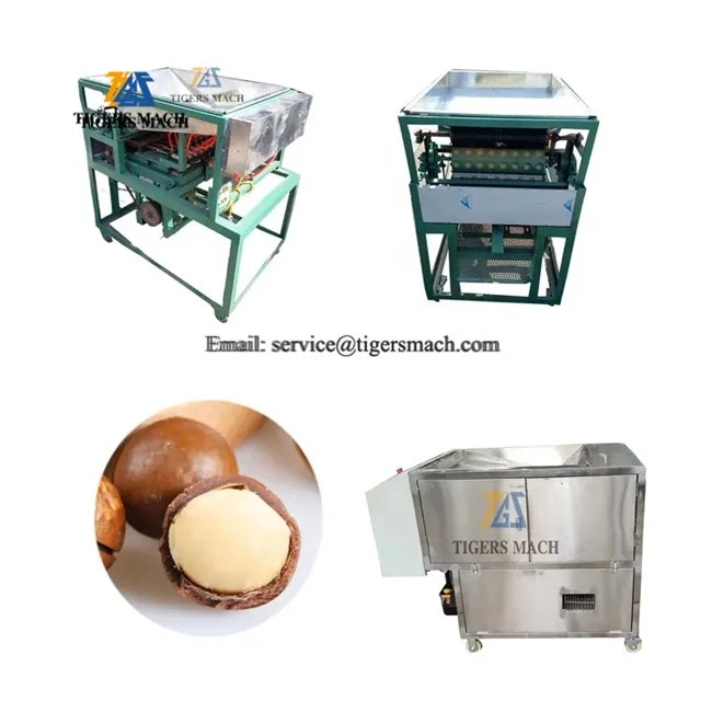 Commercial Macadamia opening machine