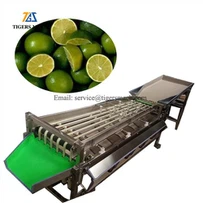 Selezionatrici classificate per datteri e giuggiole