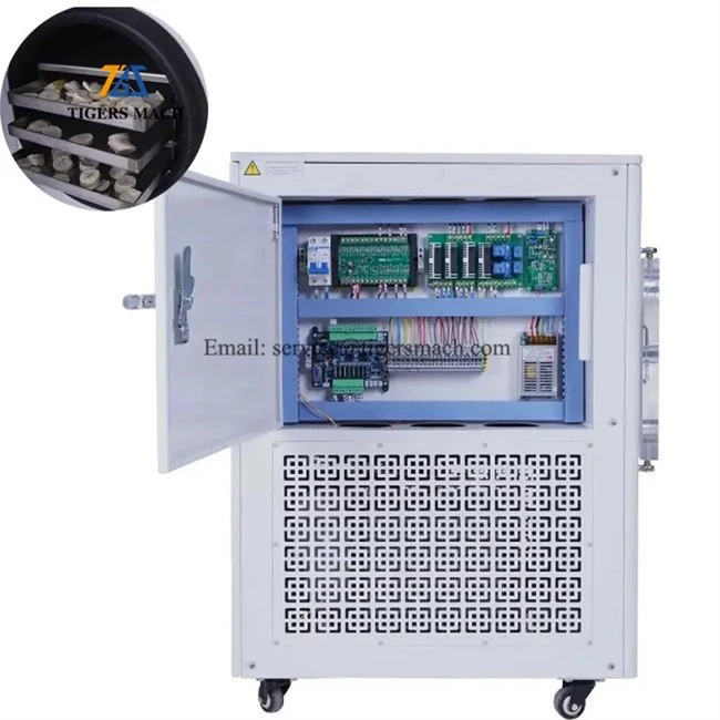 Fruit And Vegetable Vacuum Freeze Dryer Machine in Food Processing high quality